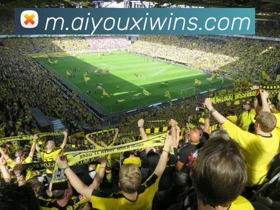 奖项证书